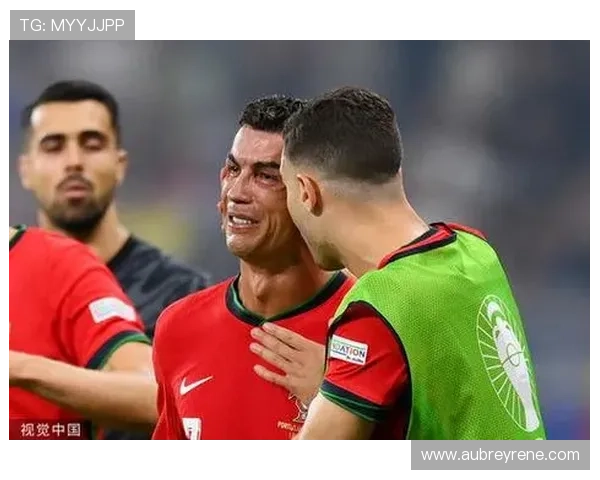 今年欧洲杯解说（本届欧洲杯现场解说）sports